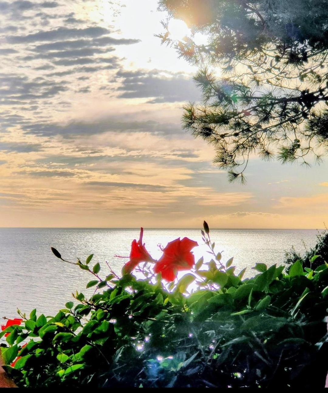 Studio Vue Sur Mer Conca Extérieur photo